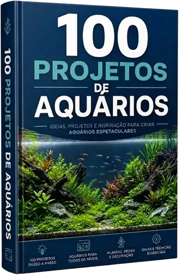 Plano Básico