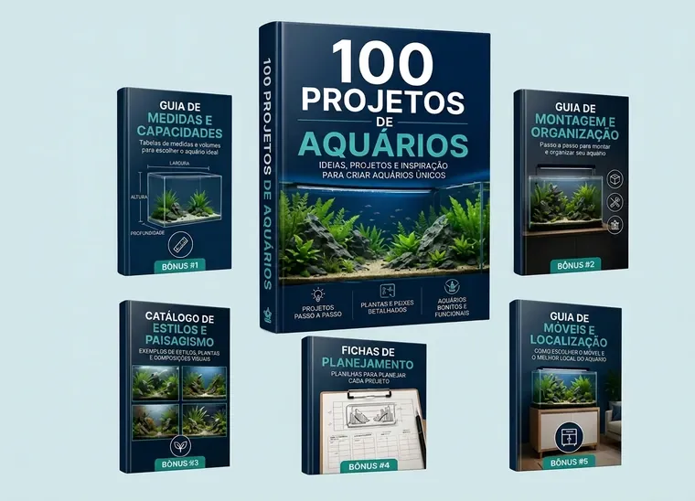 Plano Completo